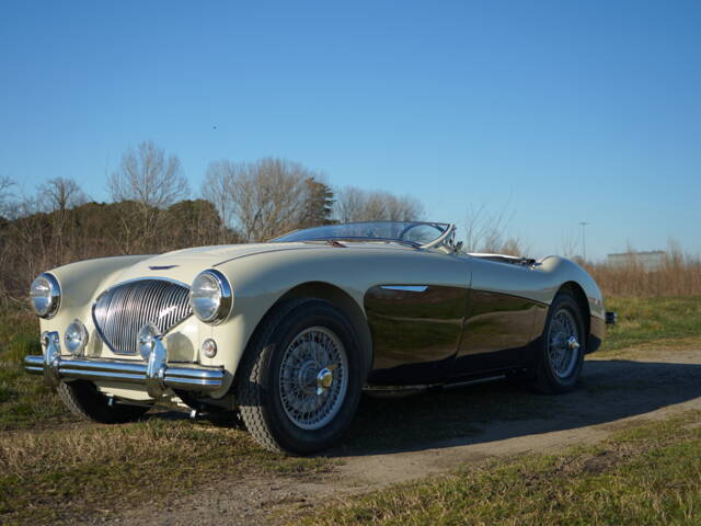 Austin-Healey 100/4 (BN2)