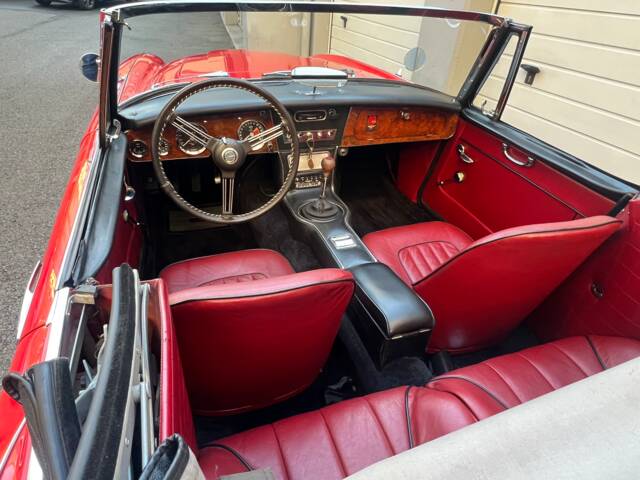 Austin-Healey 3000 Mk III (BJ8)