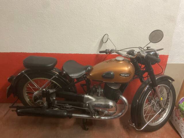 Triumph (TWN) BDG 250 H