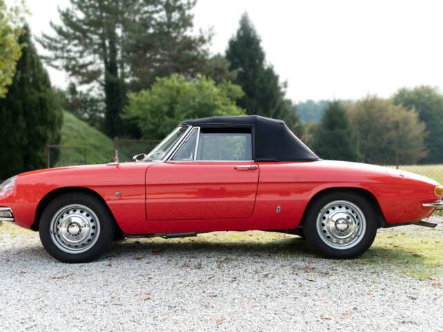 Image 1/31 of Alfa Romeo 1600 Duetto (1967)