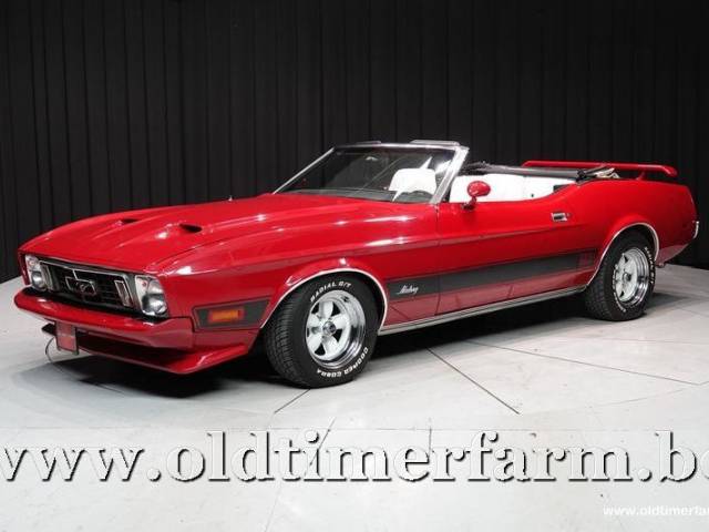 Bild 1/15 von Ford Mustang 351 (1973)