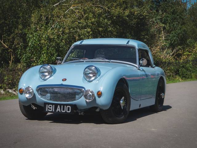 Image 1/16 de Austin-Healey Sprite Mk I (1958)