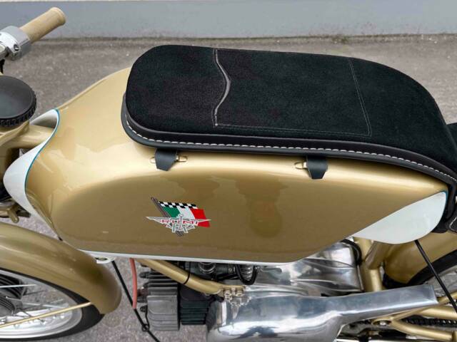 Rumi Junior Gentleman 125