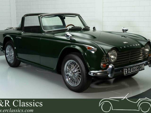 Immagine 1/17 di Triumph TR 4A IRS (1966)