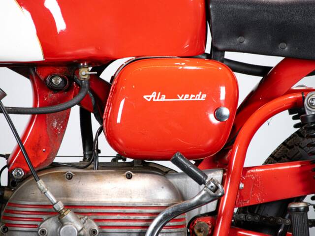 Aermacchi Ala Verde