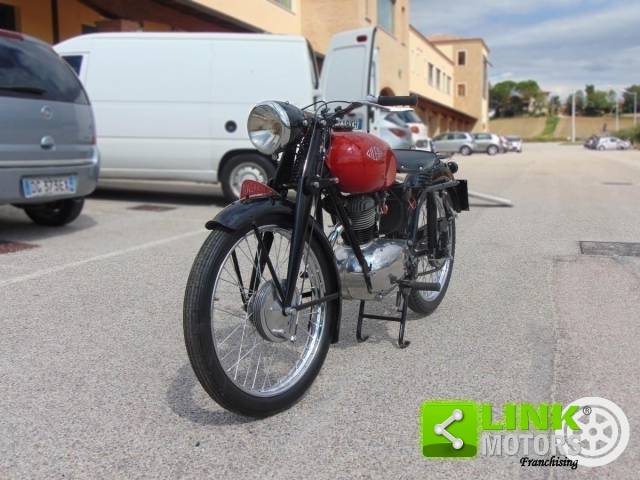 Bild 1/13 von Gilera DUMMY (1952)