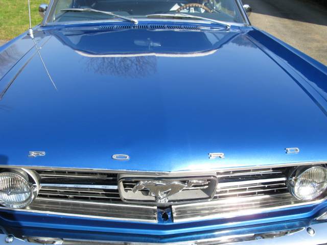 Ford Mustang 289