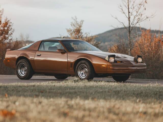 Immagine 1/5 di Pontiac Firebird TransAm (1986)