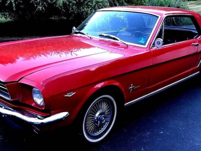 Bild 1/10 von Ford Mustang 289 (1964)