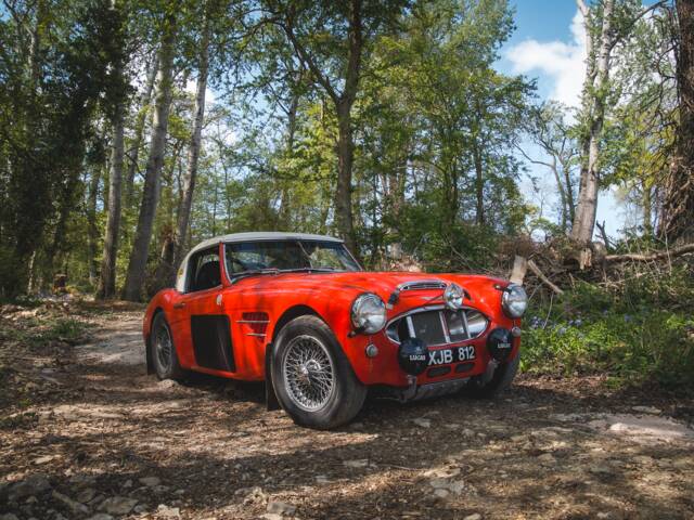 Austin-Healey 3000 Mk I (BT7)