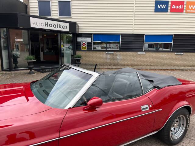 Ford Mustang 250