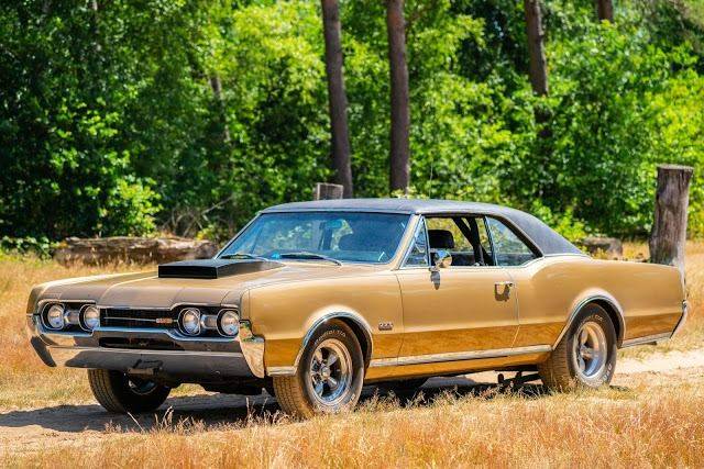 Bild 1/9 von Oldsmobile Cutlass 442 (1966)
