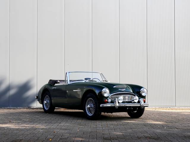 Immagine 1/37 di Austin-Healey 3000 Mk III (BJ8) (1967)