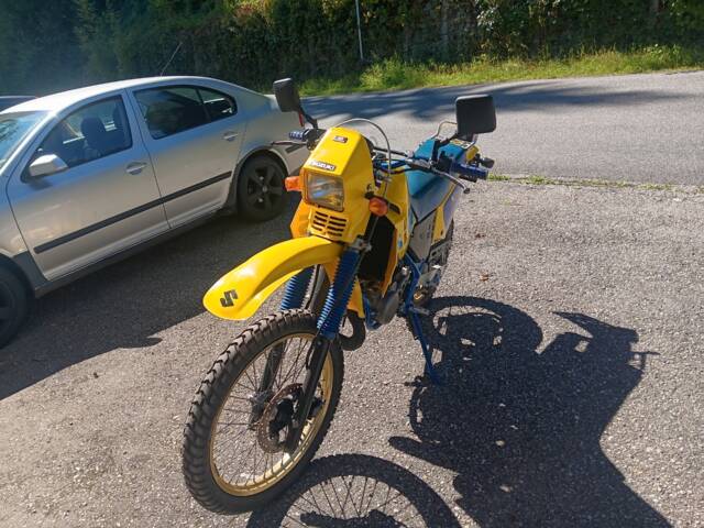 Suzuki TS 250X