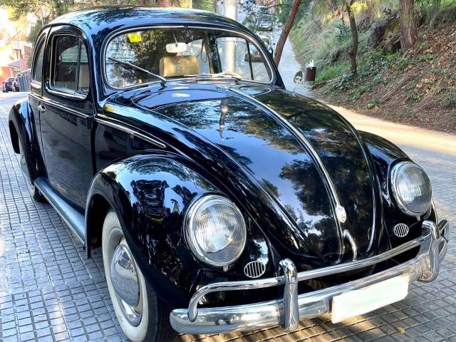 Immagine 1/31 di Volkswagen Beetle 1200 Export &quot;Oval&quot; (1954)