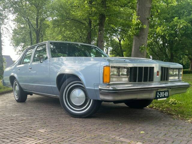 Immagine 1/6 di Oldsmobile Delta 88 Royale (1979)