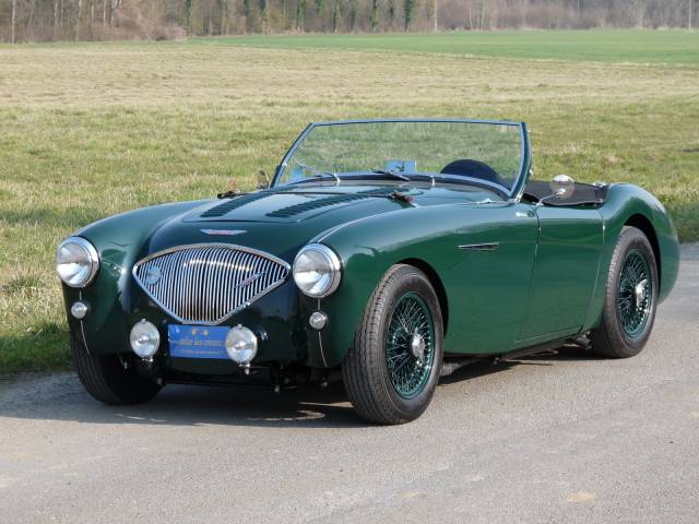 Imagen 1/17 de Austin-Healey 100/4 (BN1) (1954)
