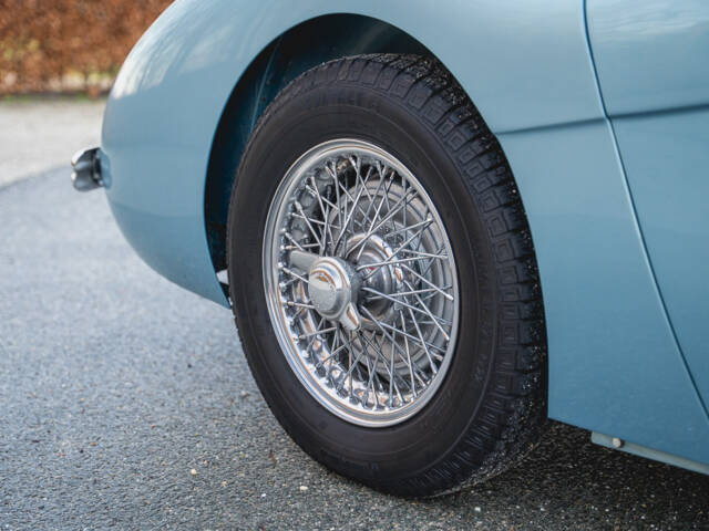 Austin-Healey 100/4 (BN1)