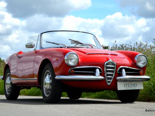 Immagine 1/21 di Alfa Romeo Giulia 1600 Spider (1964)