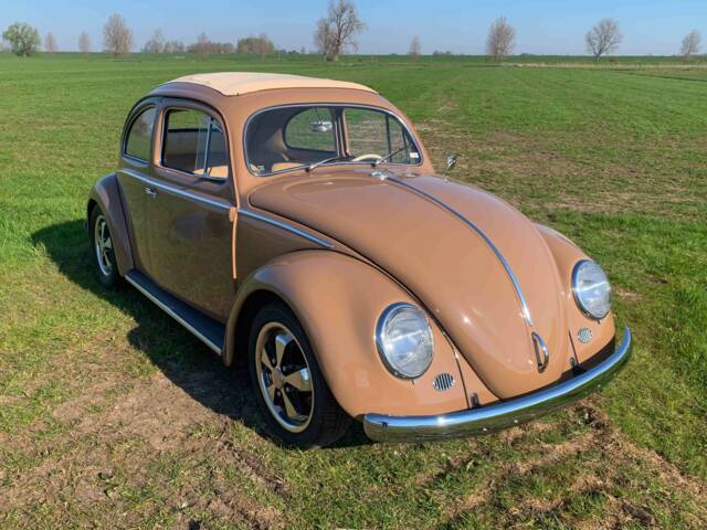 Image 1/5 of Volkswagen Beetle 1200 Export "Oval" (1957)