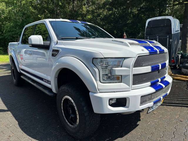 Image 1/25 of Ford F-150 (2016)