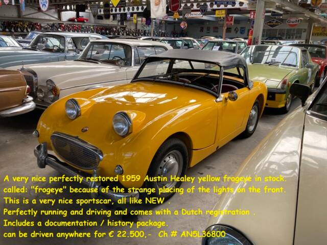 Image 1/25 of Austin-Healey Sprite Mk I (1959)