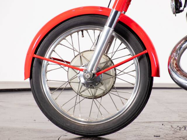 Benelli Leoncino Bassotto