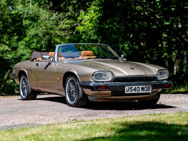 Bild 1/50 von Jaguar XJS 6.0 V12 (1992)