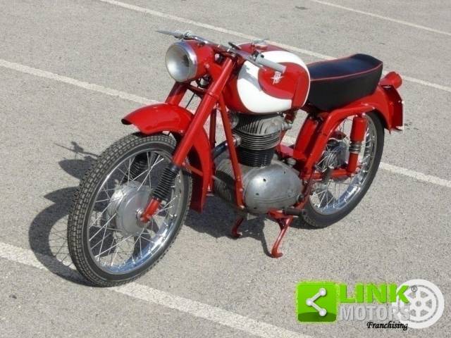 Bild 1/10 von MV Agusta DUMMY (1960)
