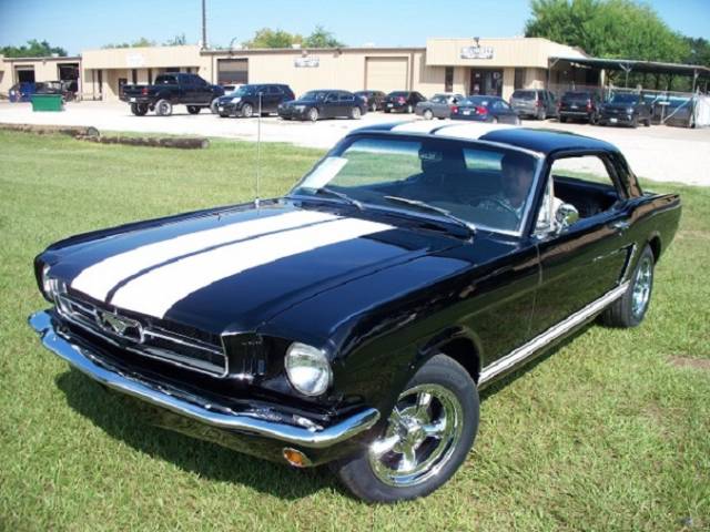 Bild 1/16 von Ford Mustang 289 (1964)