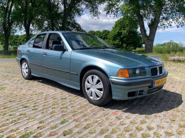 Immagine 1/6 di BMW 316i (1994)