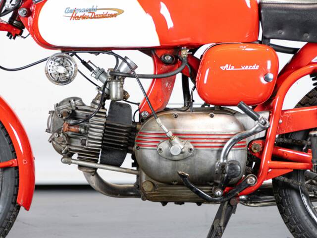 Aermacchi Ala Verde