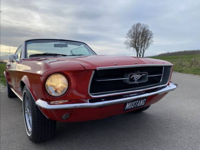 Ford Mustang Classic Cars For Sale - Classic Trader