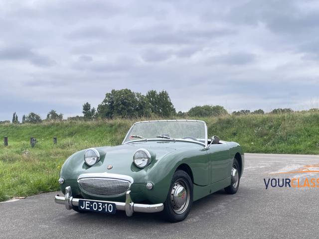 Top quality Frogeye 1275
