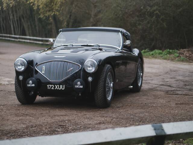 Austin-Healey 100/4 (BN2)