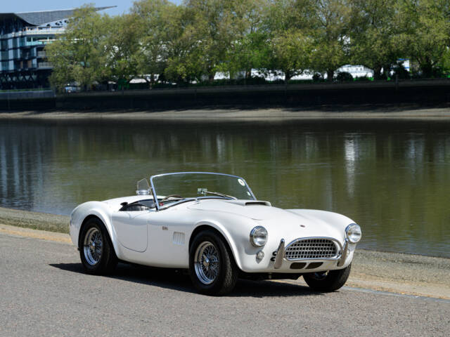 Immagine 1/11 di AC Cobra 289 (1965)