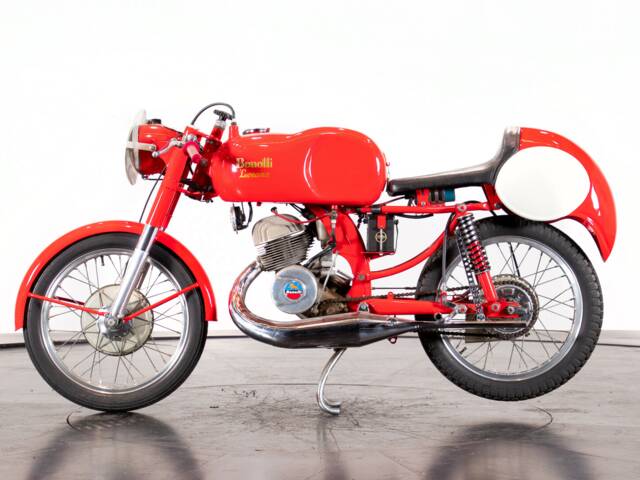Benelli Leoncino Bassotto