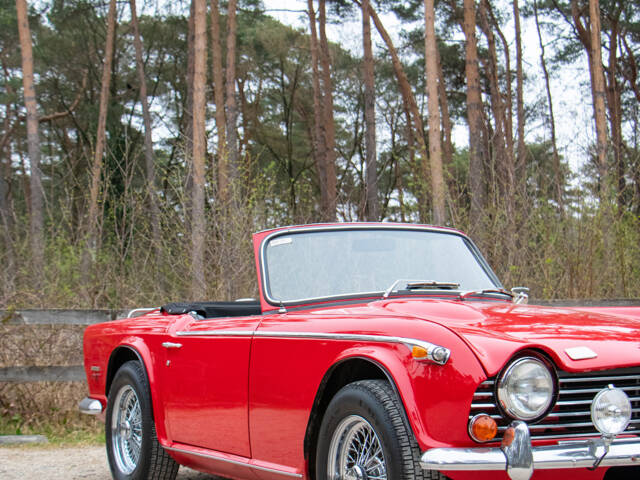 Triumph TR 250