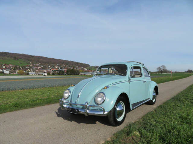 Image 1/17 de Volkswagen Käfer 1200 Export &quot;Dickholmer&quot; (1961)