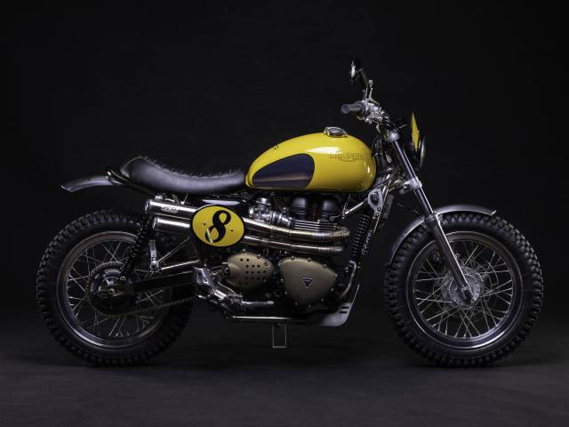 Image 1/7 of Triumph DUMMY (2016)