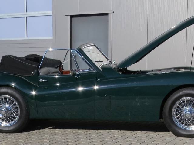 Jaguar XK 140 SE DHC
