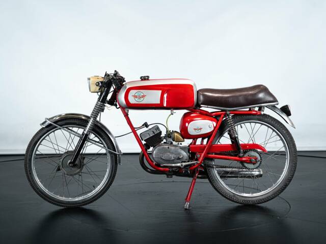 BM Jaguarino 50