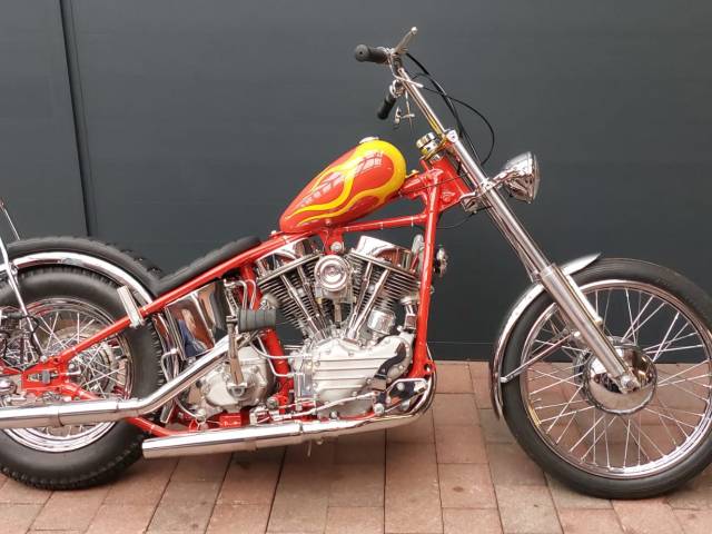 Bild 1/12 von Harley-Davidson DUMMY (2017)