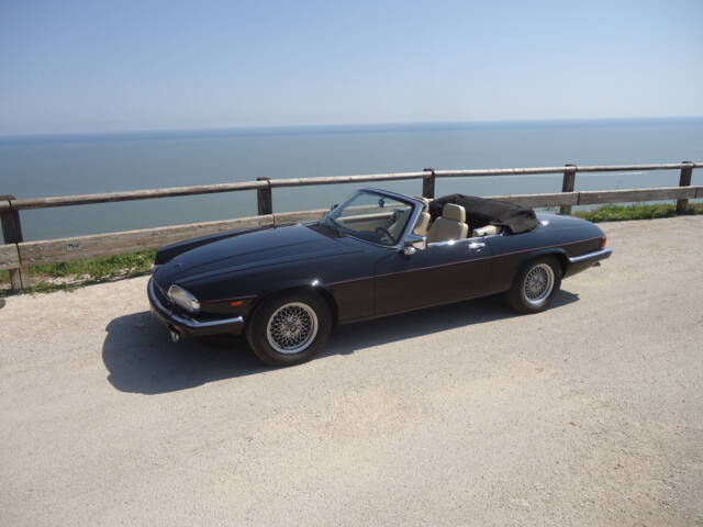 Bild 1/59 von Jaguar XJS 5.3 V12 (1990)