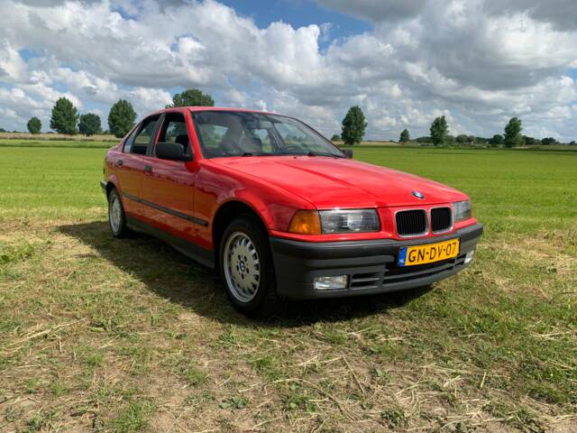 Immagine 1/5 di BMW 316i (1993)