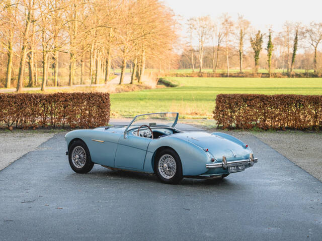 Austin-Healey 100/4 (BN1)