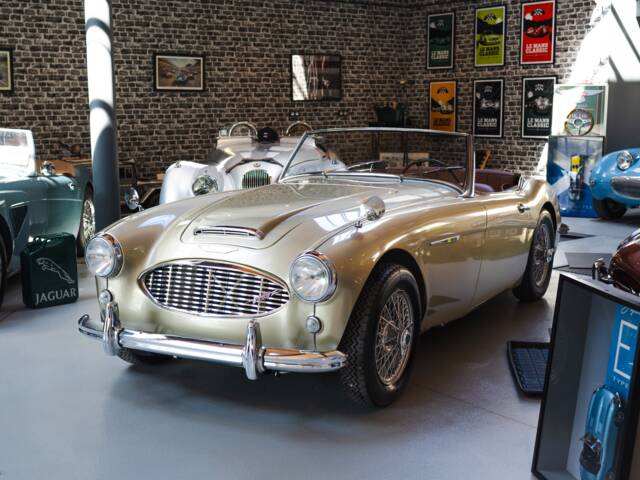 Austin-Healey 3000 Mk II (BJ7)