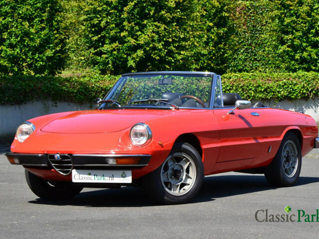 Imagen 1/50 de Alfa Romeo 2000 Spider Veloce (1981)