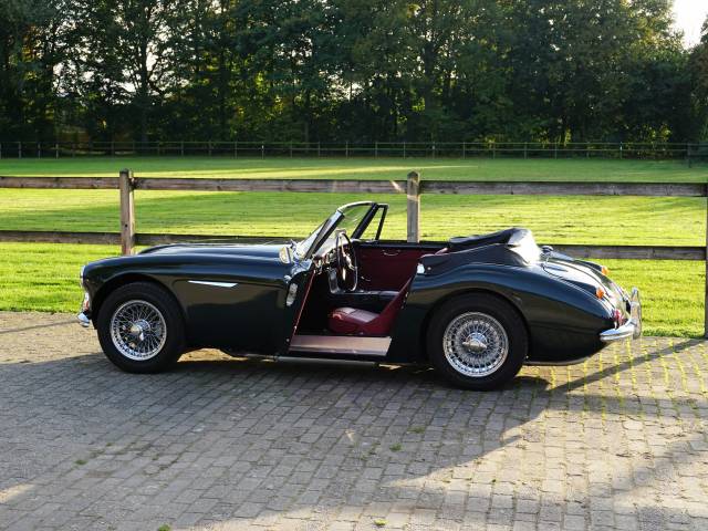 Austin-Healey 3000 Mk III (BJ8)