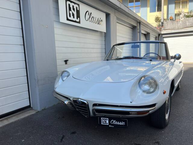 Alfa Romeo 1300 Spider Junior